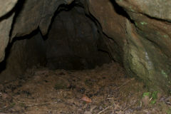 
Lascarn Quarry, Northern cave, March 2009